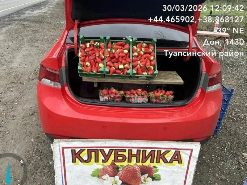 В Туапсинском округе призывают не покупать клубнику, которую продают вдоль федеральной трассы