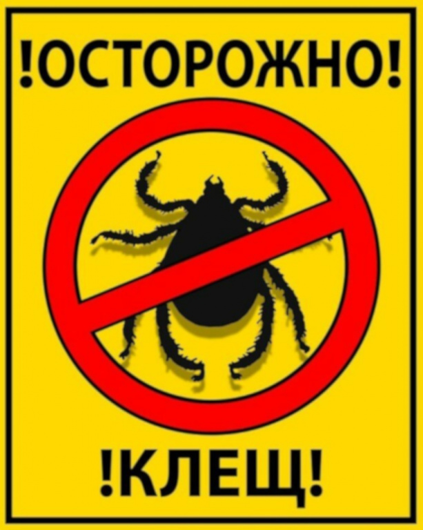 Памятка осторожно клещ