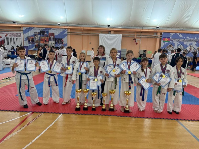 Спортсмены Туапсинского округа заняли призовые места на Кубке Краснодарского края по тхэквондо ГТФ