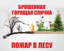 ПАМЯТКА по действиям при возникновении лесных пожаров ПАМЯТКА по действиям при возникновении лесных пожаров