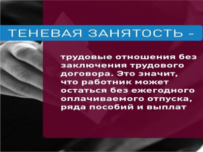 Теневая занятость 