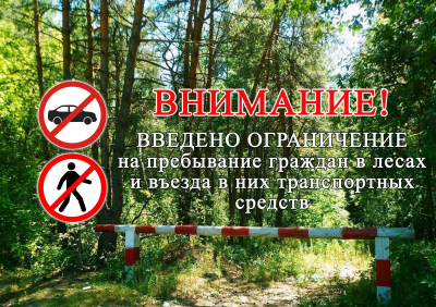 Ограничение въезда транспортных средств и пребывания граждан в лесных массивах Туапсинского муниципального округа