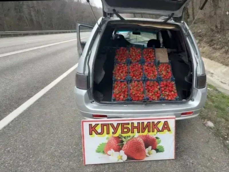 В Туапсинском округе стали часто фиксировать случаи незаконной продажи клубники