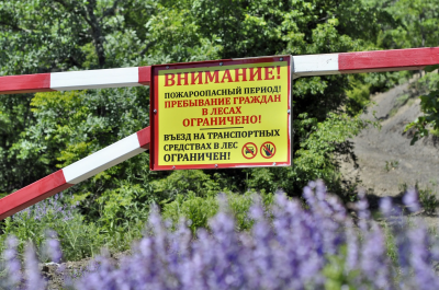 В лесах Туапсинского муниципального округа введены ограничения на посещение и въезд транспорта