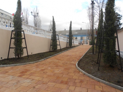 В городском парке культуры и отдыха Туапсе высаживают новые деревья